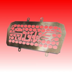 KTM Duke 2.0 Radiator Guard