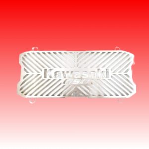Kawasaki 650 Radiator Guard