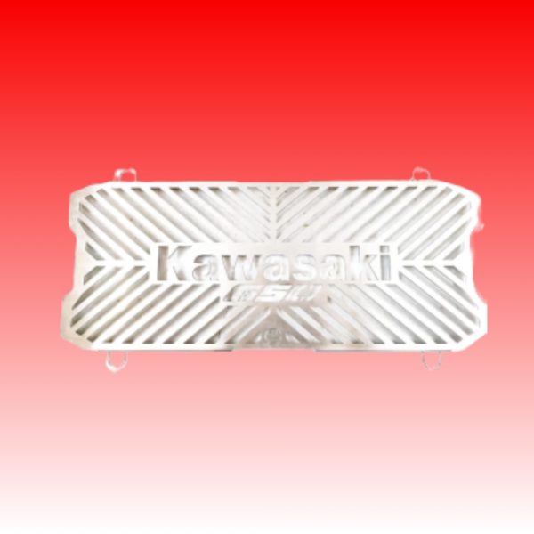 Kawasaki 650 Radiator Guard